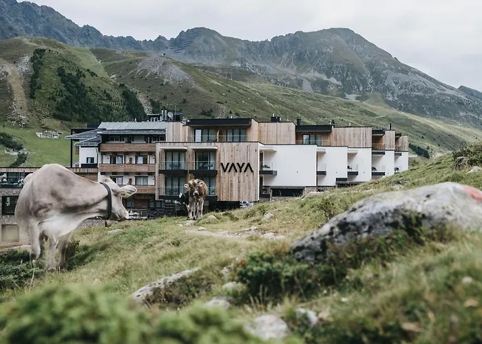 Vaya